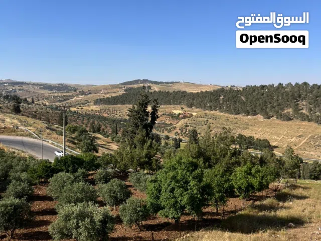 4 Bedrooms Farms for Sale in Mafraq Dahl