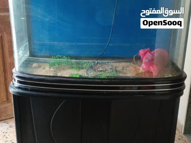حوض سمك للبيع سعر ساوم