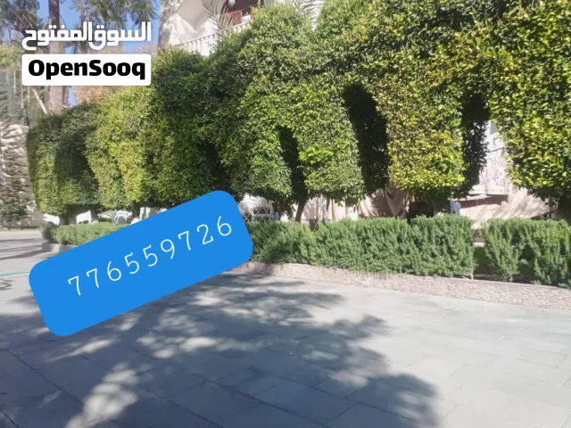 شتلات زراعية