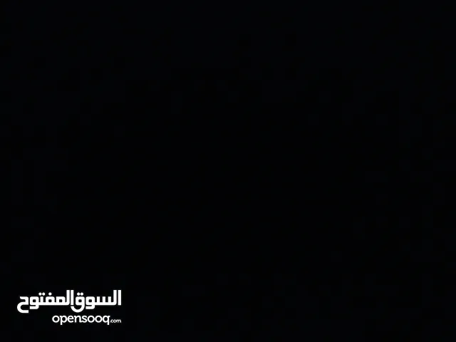 مطلوب كلب شعراوي للتبني