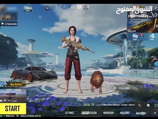 Pubg Accounts and Characters for Sale in Ajman