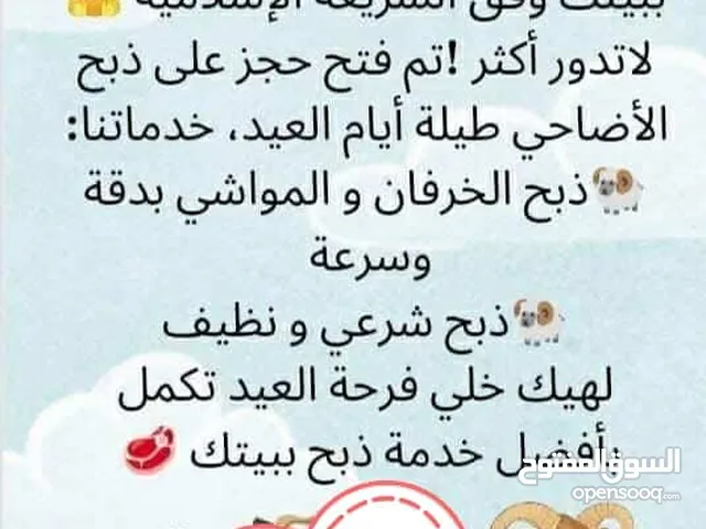 لحام اضاحي علا أتم الاستعداد لذبح اضحيتك