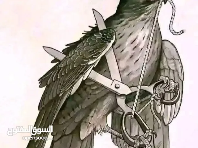 مجانآ عندي كتب مدرسه ابتدائيه مستخدمات هواي