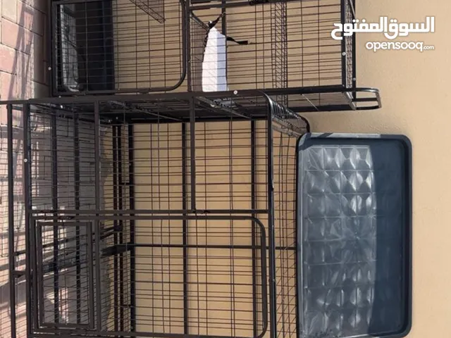 قفص للحيوانات
