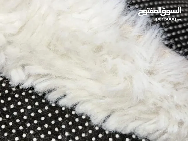 سجادة فرو اوف وايت جديدة