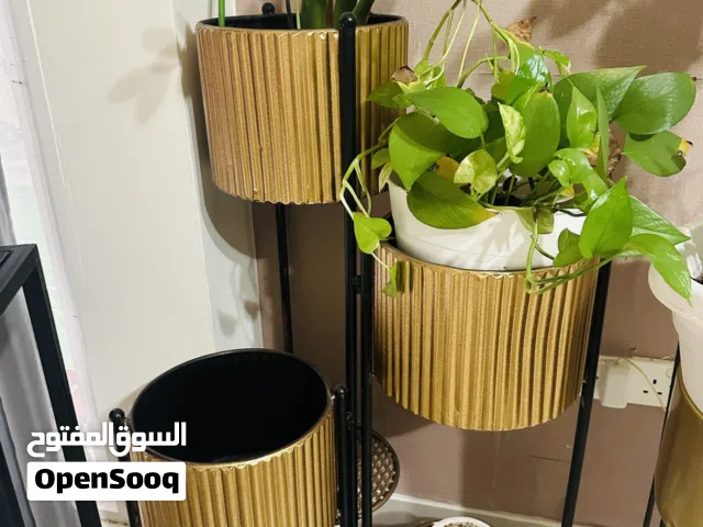 Metal indoor plant stands for sale