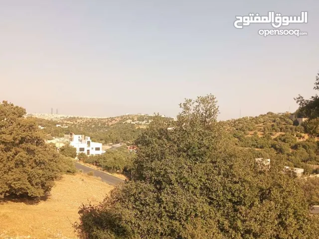 Mixed Use Land for Sale in Amman Badr Jdedeh
