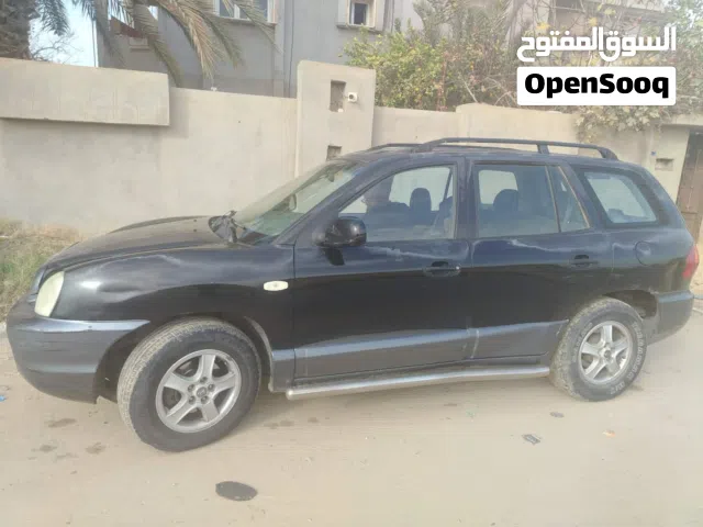 2004 هيونداي سنتافي Standard