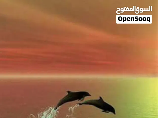 175 m2 4 Bedrooms Apartments for Sale in Tripoli Al-Sidra