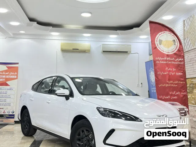 2025 بي واي دي سيل