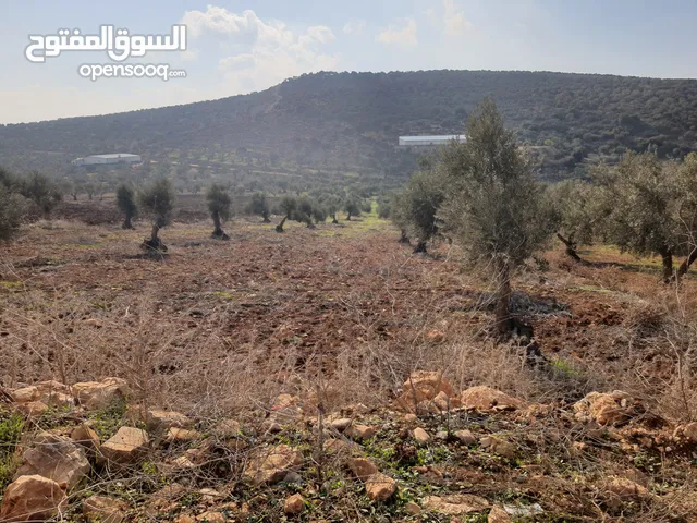 Mixed Use Land for Sale in Jenin Al-Judeida