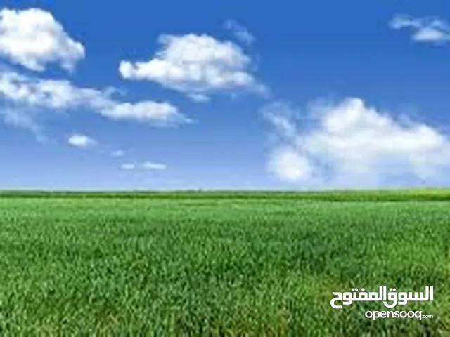 Residential Land for Sale in Basra Al Ashar