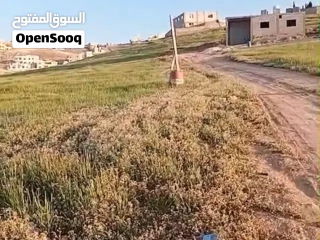 9 قطع أراضي للبيع الزرقاء جريبا جوفة ذياب