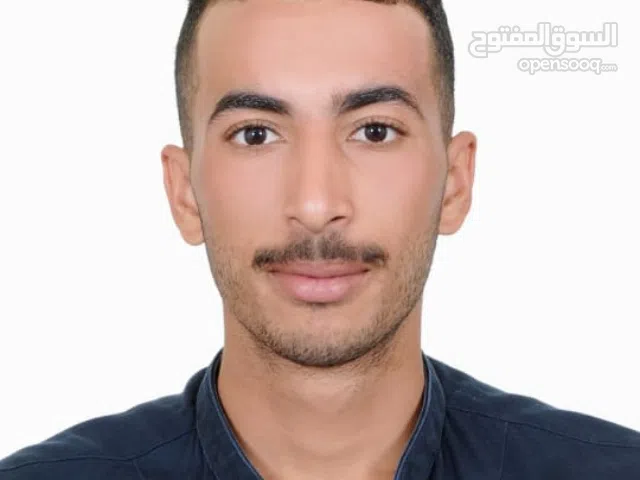 السيد امين محمد حفنى