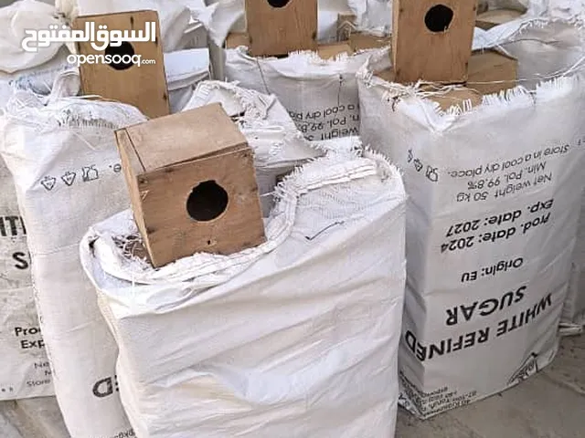 بضاعة طيور
