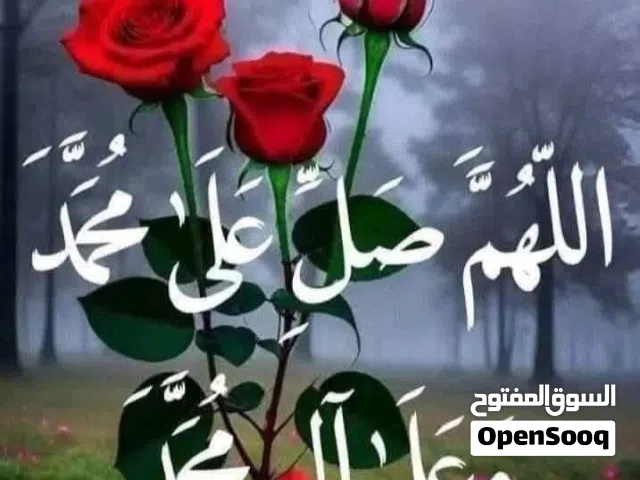 مطلوب جاملغ سنتا في ابيض 12