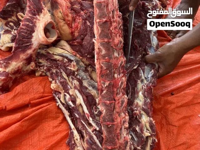 لحم ثيران مطعومه