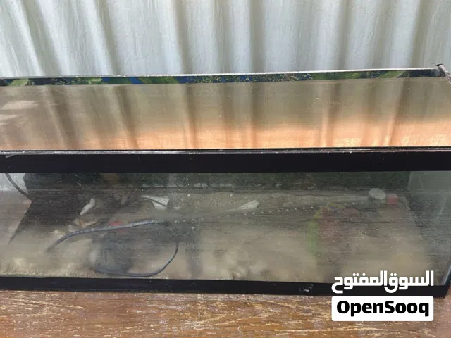 احواض سمك جميله جدا