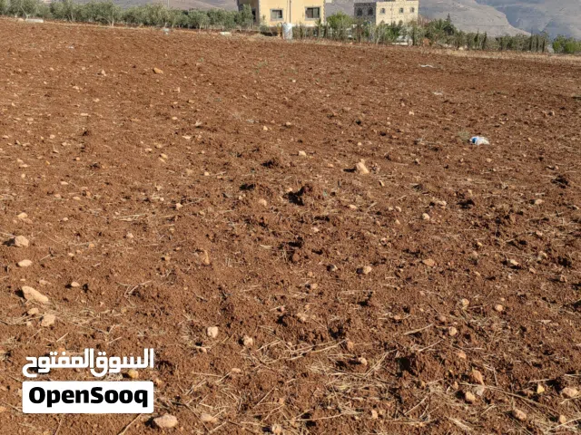 Farm Land for Sale in Salt Al Subeihi