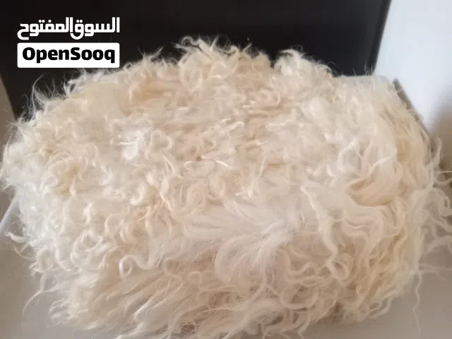 Used Once Men's Cozy and Stylish Unbranded Wool Winter Hat - Standard Size