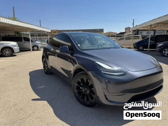 2021 تيسلا موديل Y Standard Range