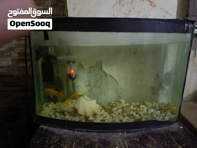 حوض سمك 60سانتي