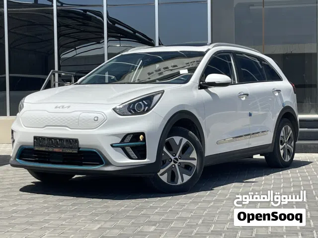 2022 Kia Niro EV Wind