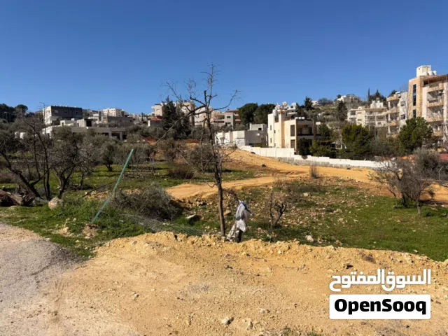 Residential Land for Sale in Amman Al-Fuhais