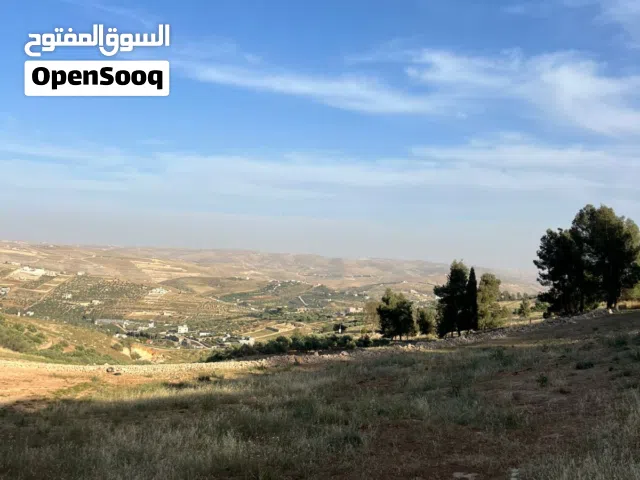 Farm Land for Sale in Mafraq Dahl