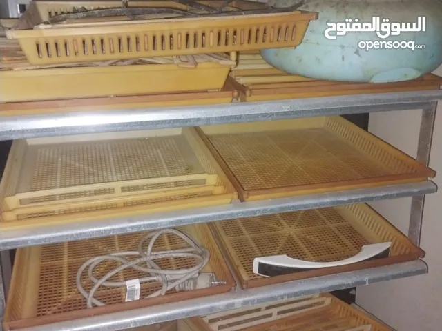 فقاسه مستخدم قليل