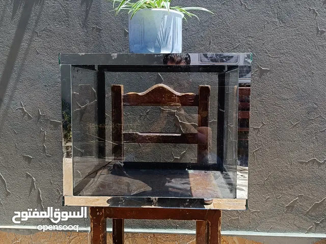 حوض سمك زينة