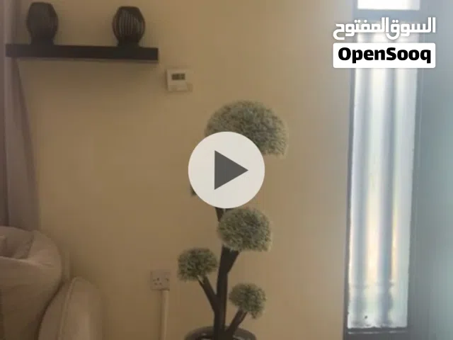 مطلوب شخص لمشاركة سكن مفروش بالكامل سرير دور ثانى ايجار