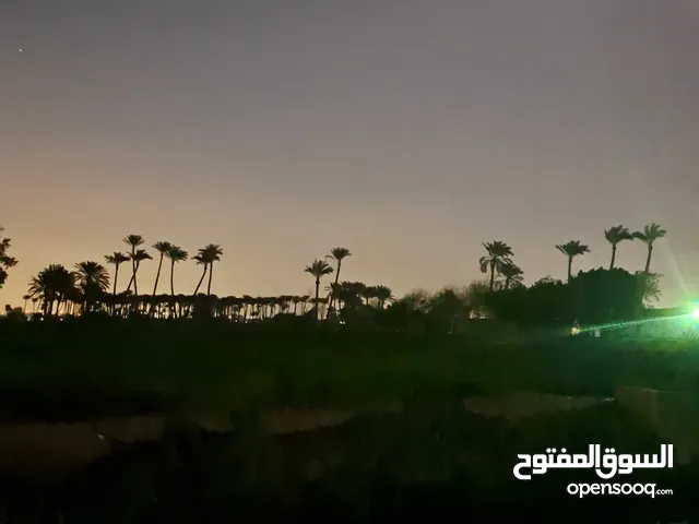 غرفة داخل شقة