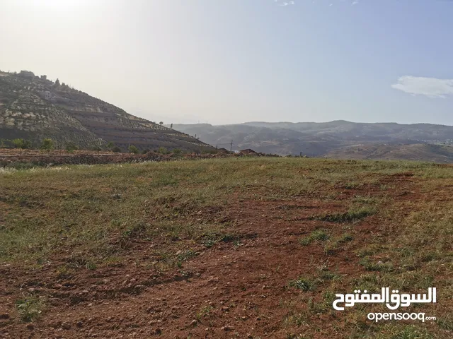 Farm Land for Sale in Salt Al Subeihi