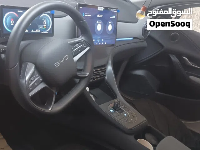 2025 بي واي دي سيليون