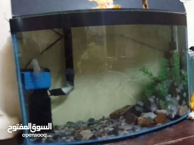 السلام عليكم موجود حوض سمك ابو العشرة للبدل بجميع مستلزماتو شوف الوصف