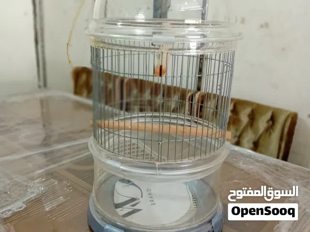 قفص عصافير من terra