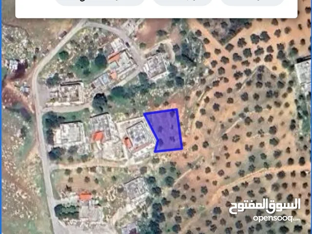 Residential Land for Sale in Zarqa Um Rummanah