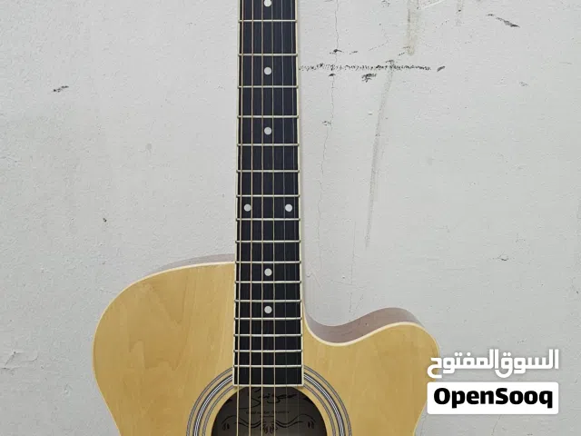 Singer acoustic guitar