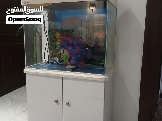 حوض سمك مع طاولة