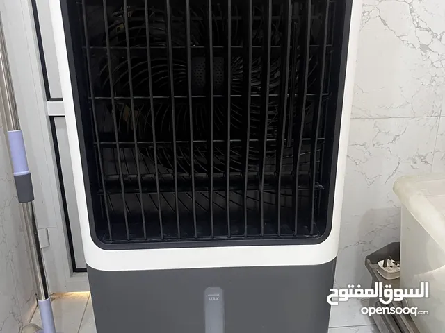 آيسي صحراوي