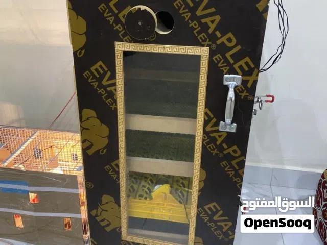 فقاسة بيض دجاج