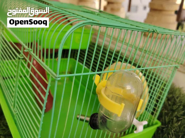 10 دينار قفص هامستر مع زوجين هامستر