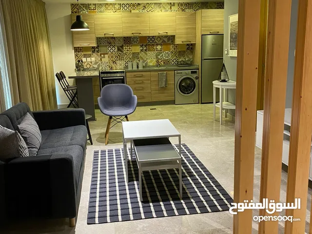 50 m2 Studio Apartments for Rent in Amman Abdali