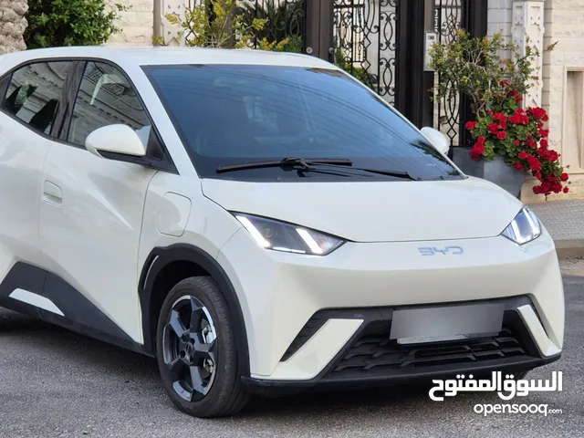 بي واي دي سيجل للبيع