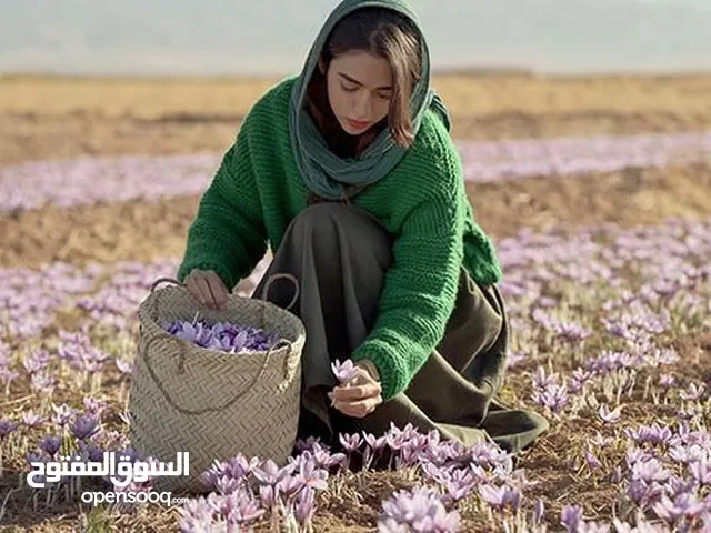نقدم لكم اجود انواع الزعفران الإيراني نقي 100./. و المباشرة من المزارع الإيرانية نكهة قوي،لون غني،