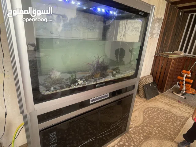 حوض اسماك نظيف