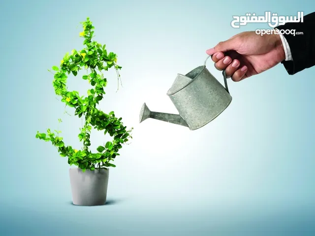 فيزا استثمارية في المملكة العربية السعودية