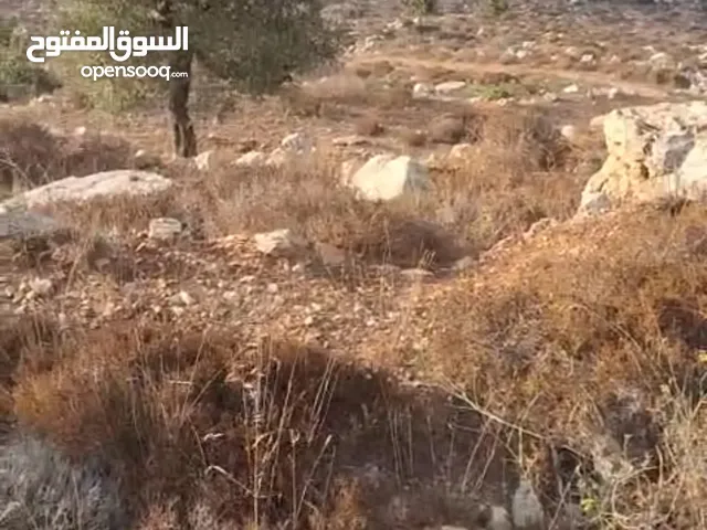 Residential Land for Sale in Ramallah and Al-Bireh Atara