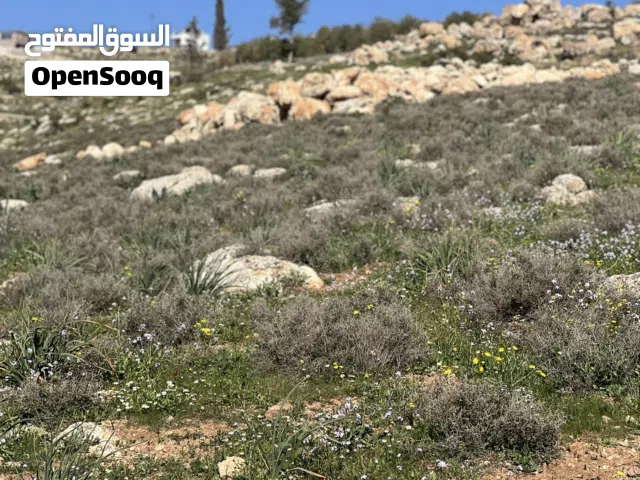 ارض للبيع جرش عنيبه بجانب اسكان المهندسين 2800متر  مفروزه بقوشان مستقل